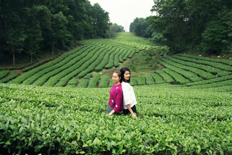 two people in the middle of a tea field