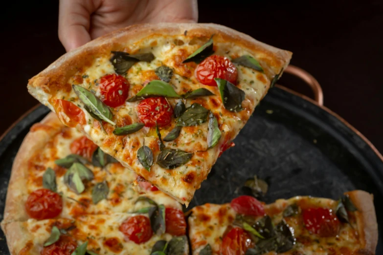 two slices of pizza, one with spinach and tomato