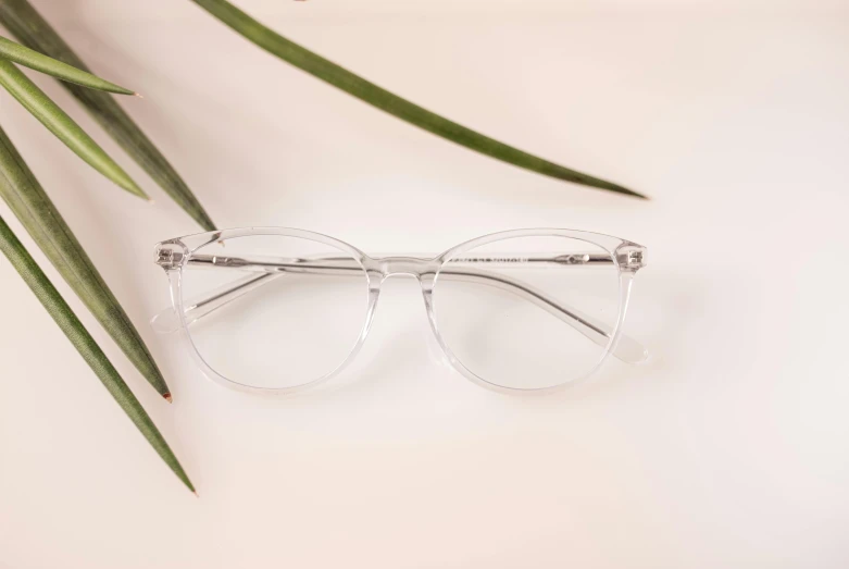 glasses, green plants and pink background