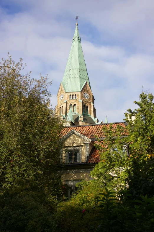 the tower of a building has a steeple and some trees