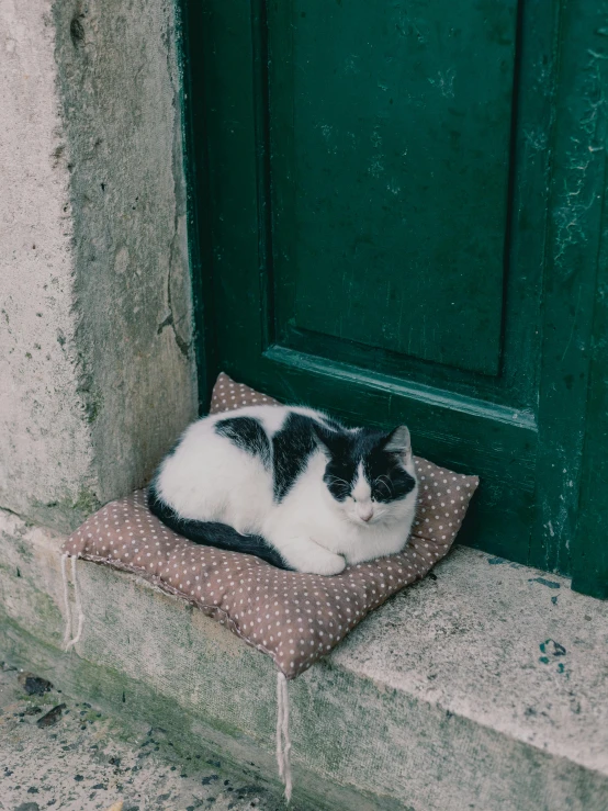 cat laying on a pillow outside of a green door