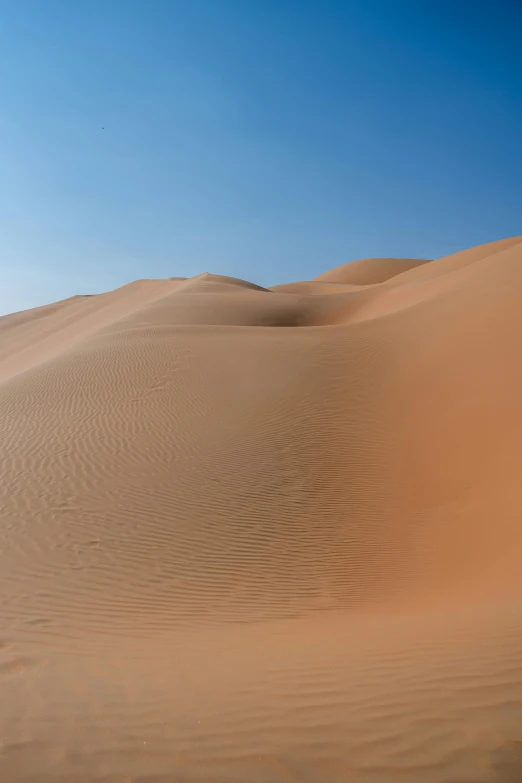 a person riding on top of an open sand dune