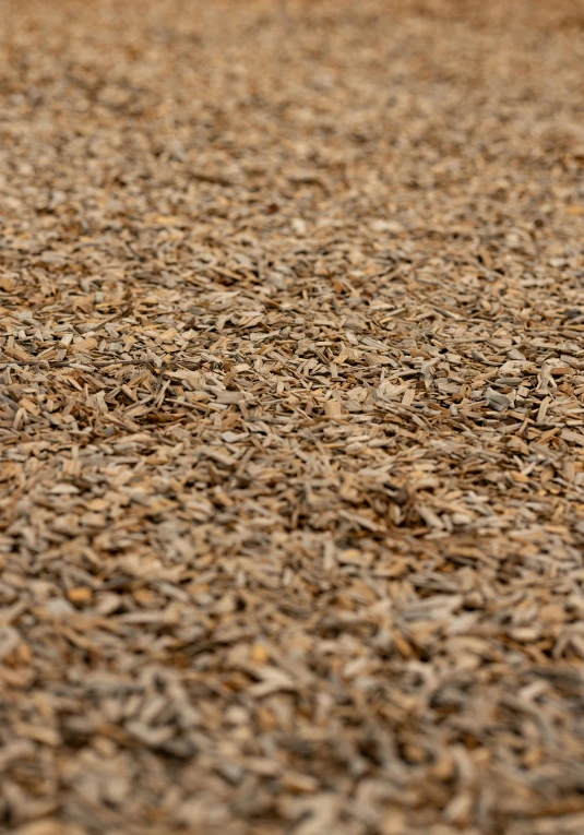 closeup of brown colored surface with little leaves