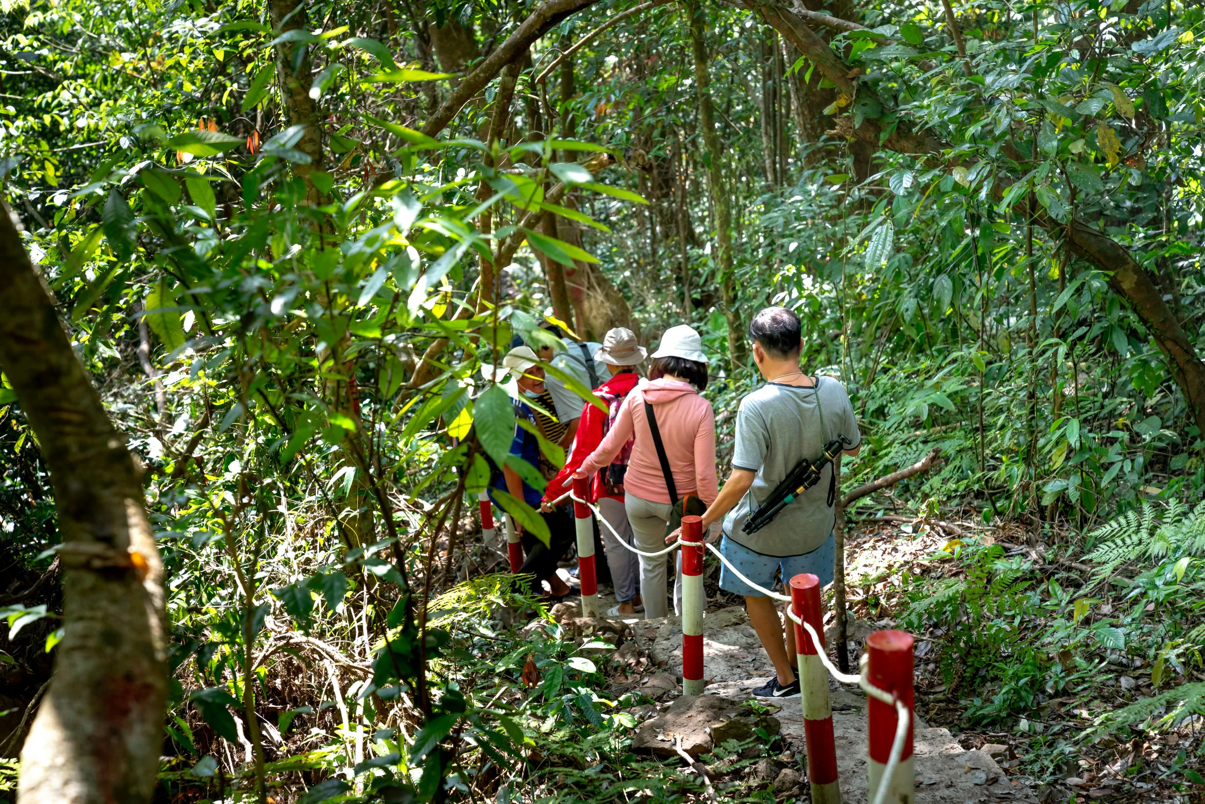 several people walking down a path in the woods