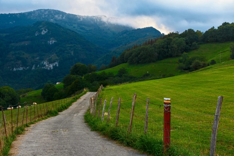 a dirt path on the side of a lush green hillside