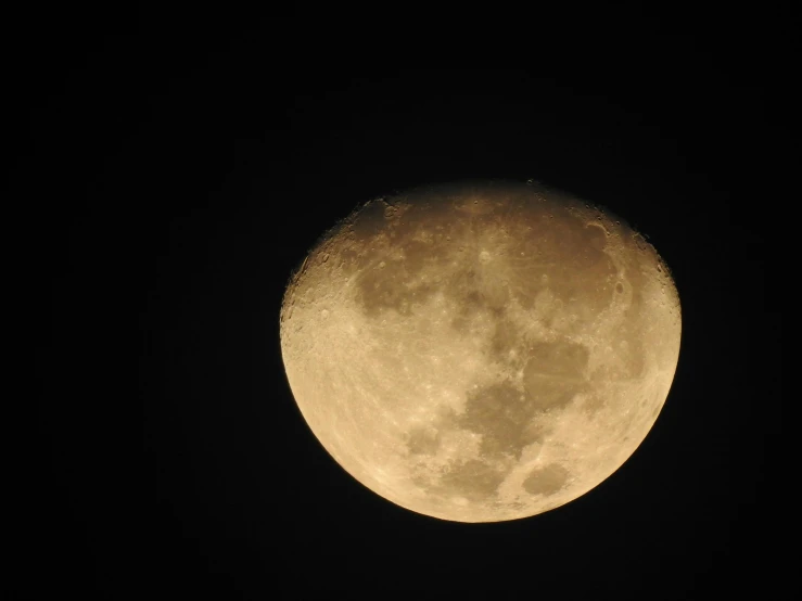 a large moon is visible in the night sky