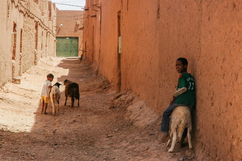 a person and two animals next to a brick wall