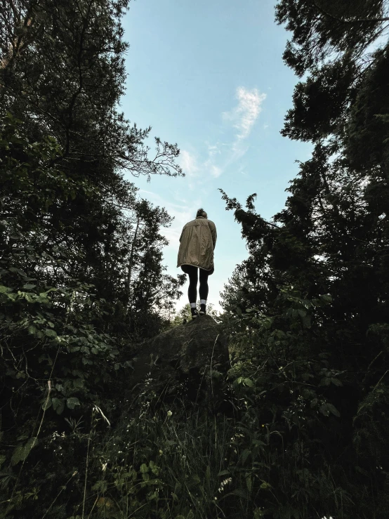 the man is hiking through the woods on a path