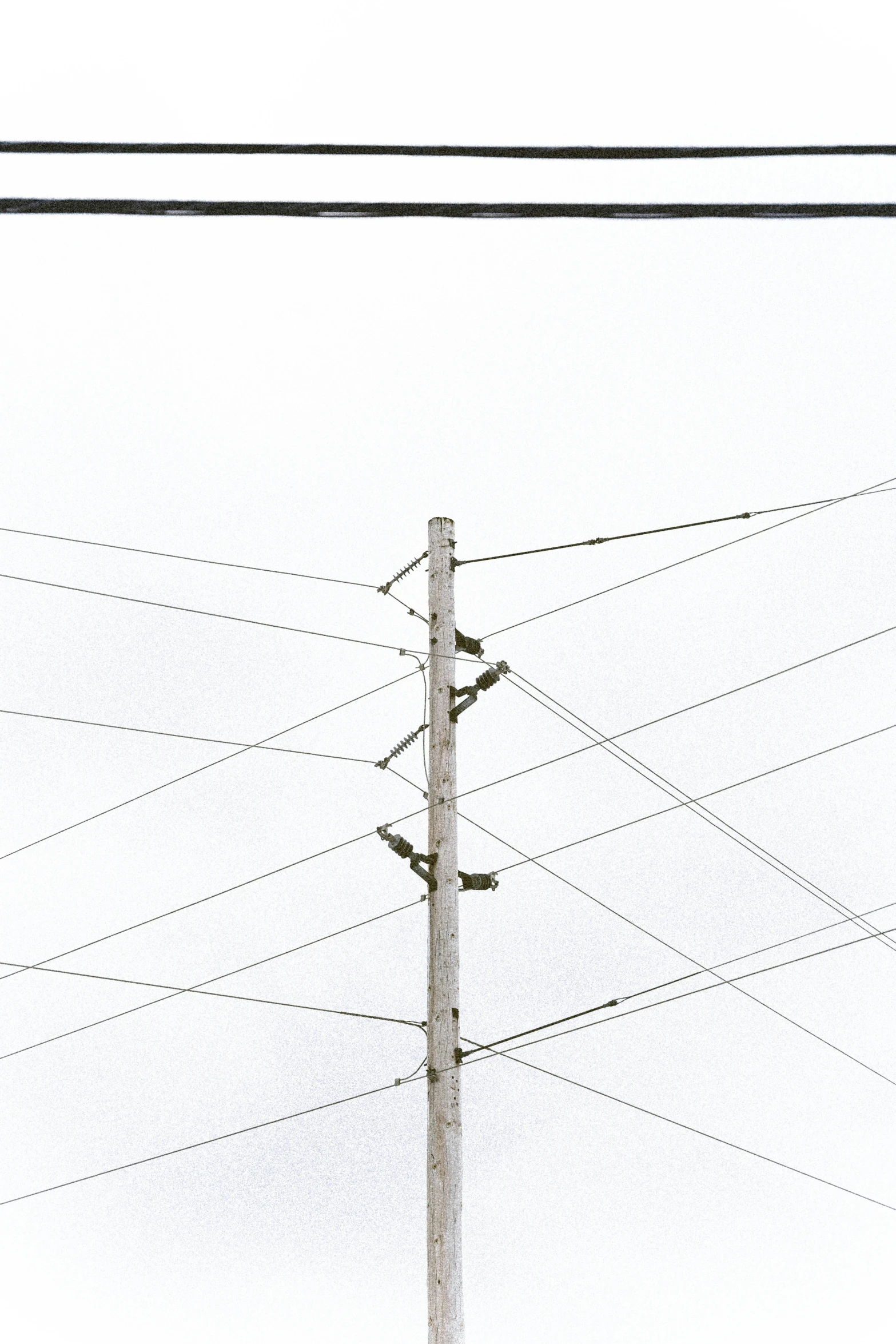 telephone poles against a white sky with power lines