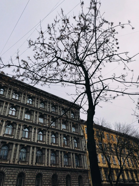 an empty tree in front of an old building