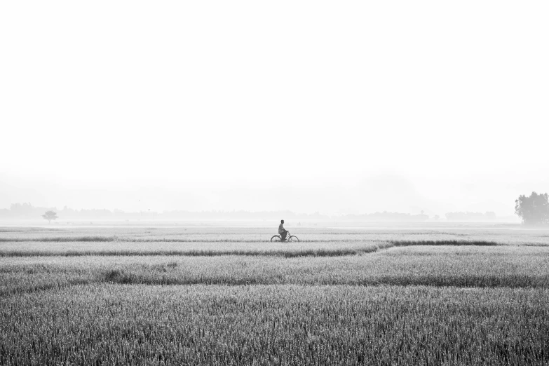 a couple of people on a field that has a kite