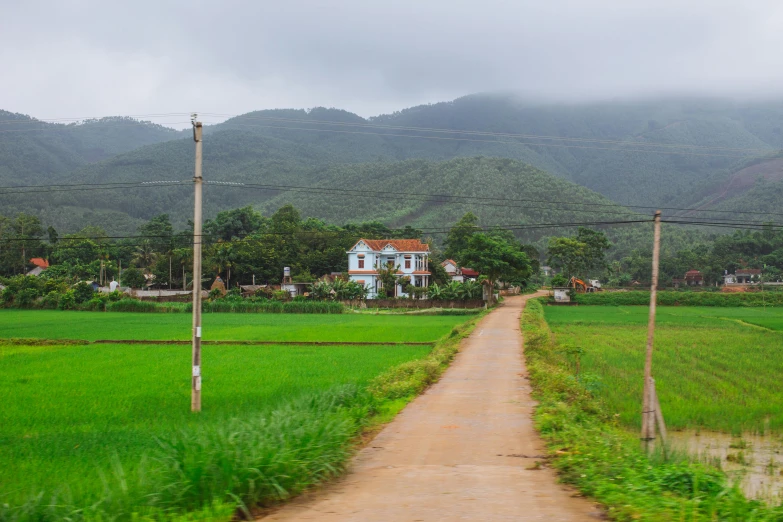 a road going down a green field in front of a white house