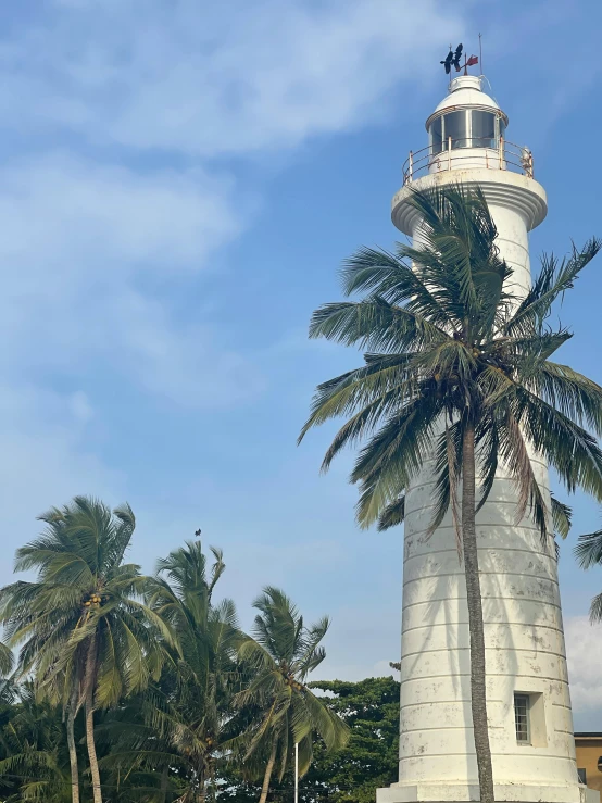 the large white lighthouse is surrounded by palm trees