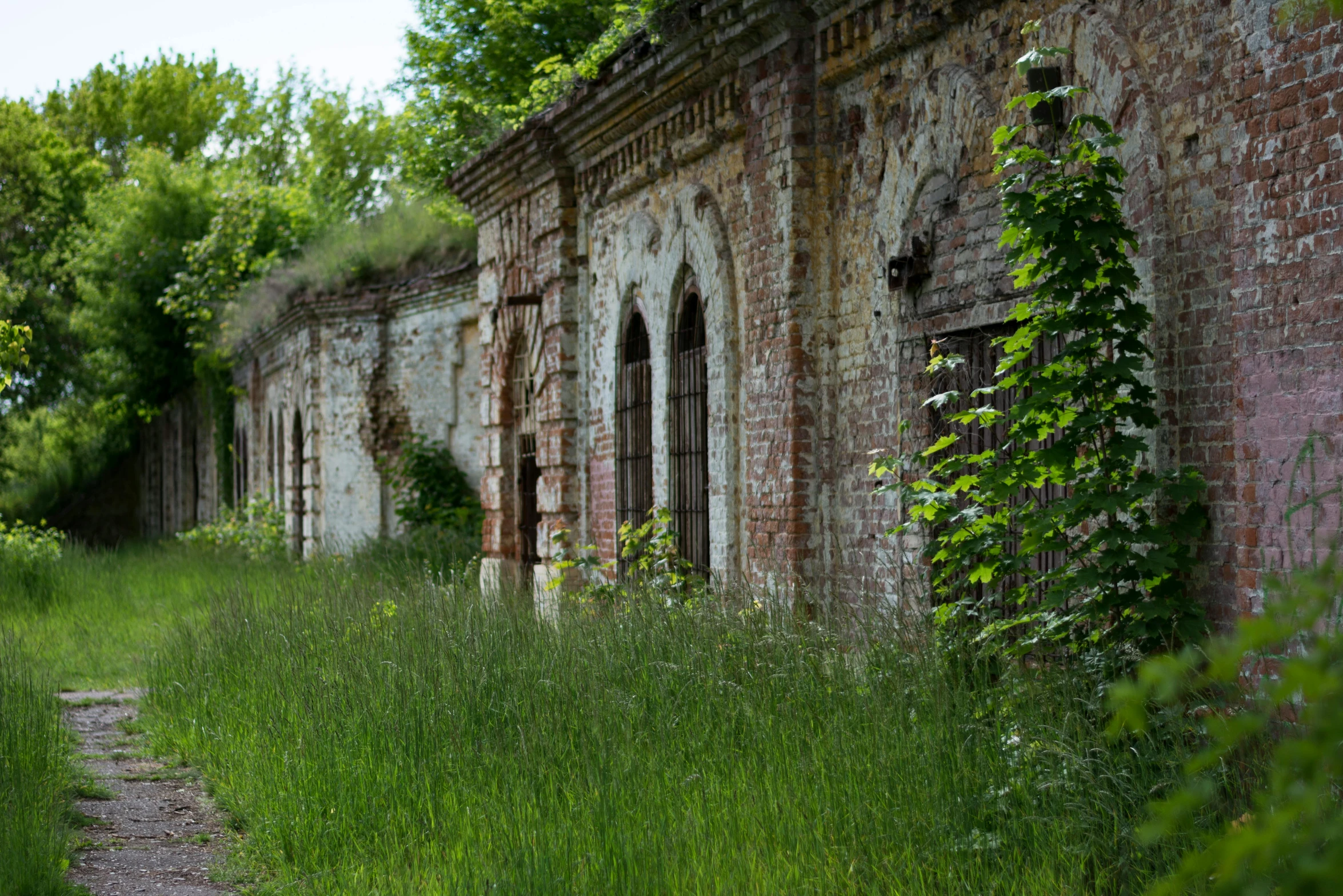 an abandoned building overgrown with green foliage and vines