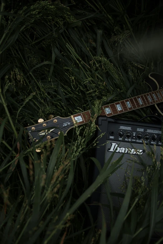 an old guitar and amp resting in tall grass