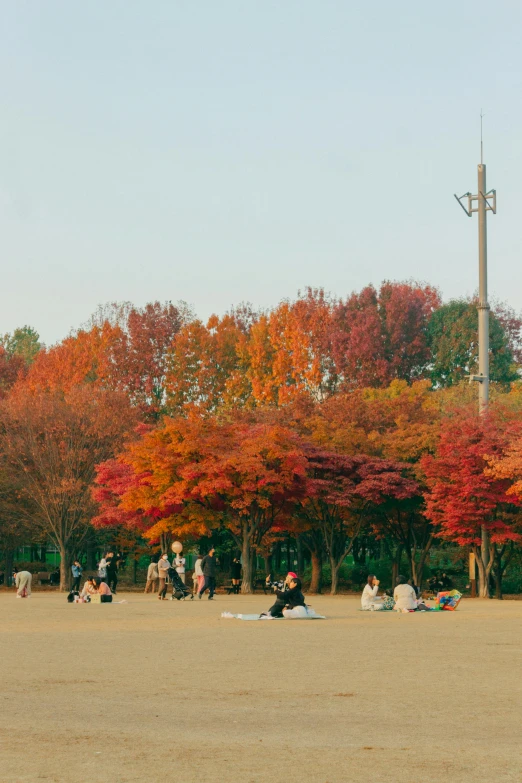 people in a field in front of a tall tower with a clock