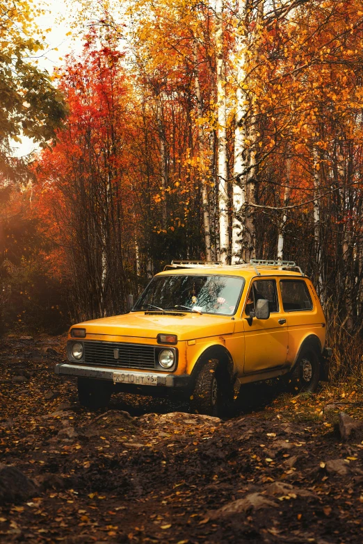an yellow pick up truck is driving in the woods