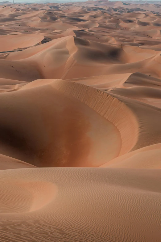 the desert is covered with large sand dunes