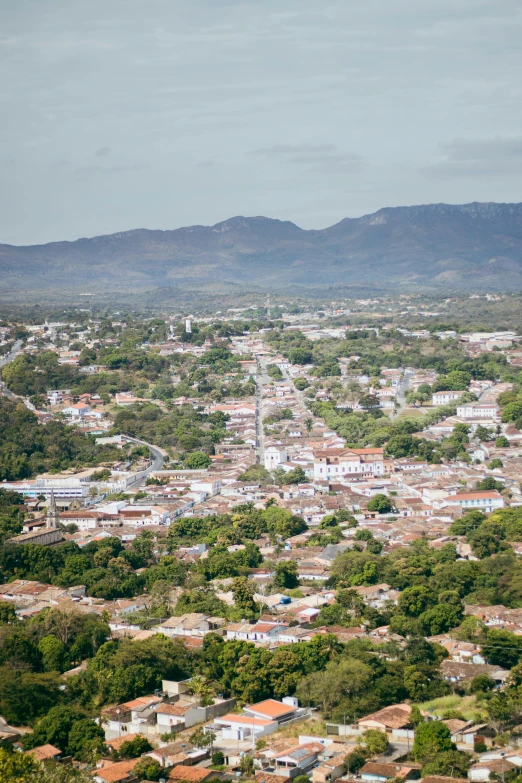 an aerial view of a town, trees, buildings and mountains