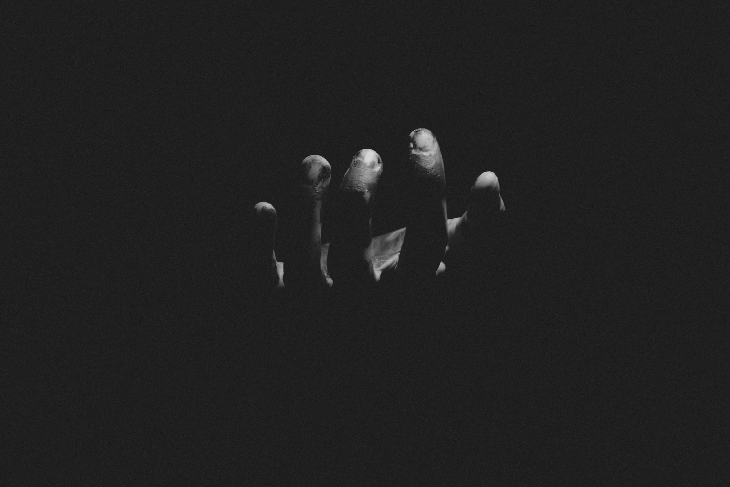 birds are gathered at night together in the dark