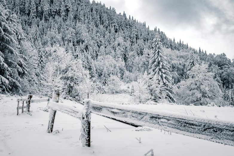 a fence stands in the snow on a cloudy day