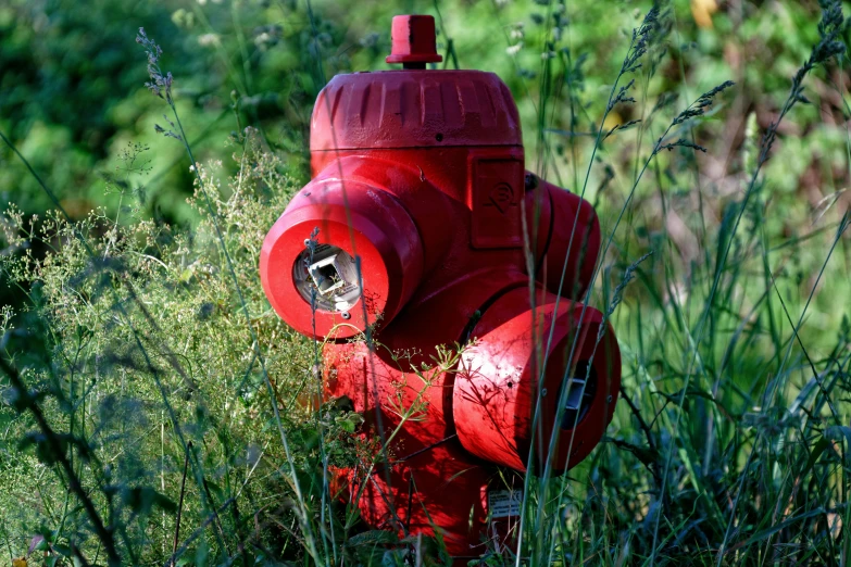 a red fire hydrant that has been placed in the bushes