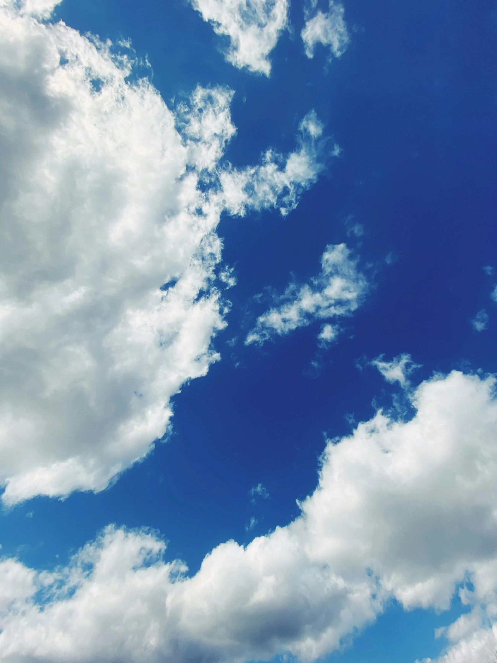 a airplane flies high above the clouds in the blue sky