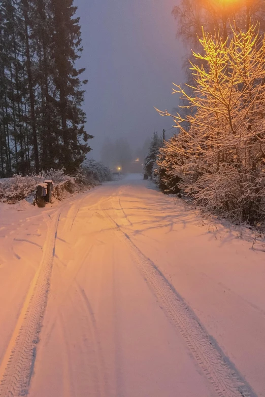 the night is a snowy, winter day with trees and tracks