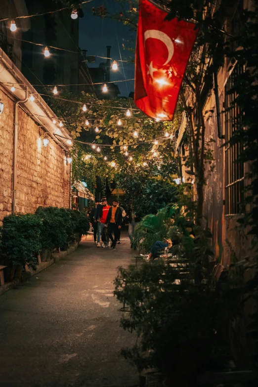 a night time po of a alley with potted plants and an outdoor table