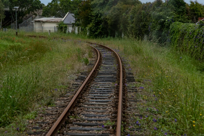 some rail cars are on the train track