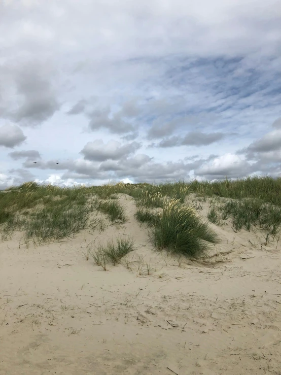 an image of sand and grass on the beach