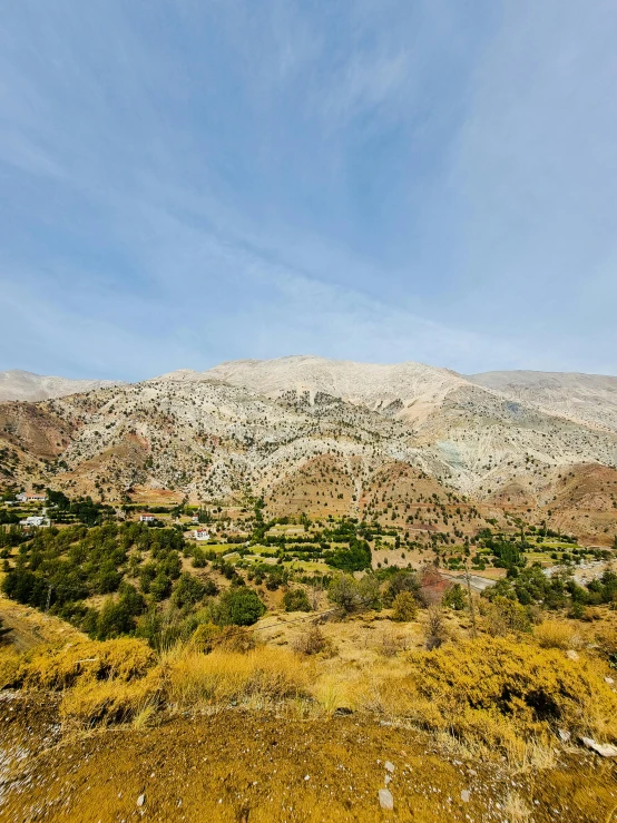 view of a mountainous plain with trees and rocks