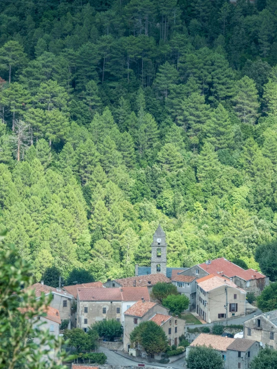 a hillside with trees and small buildings