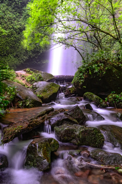 a waterfall flows over mossy rocks in the forest