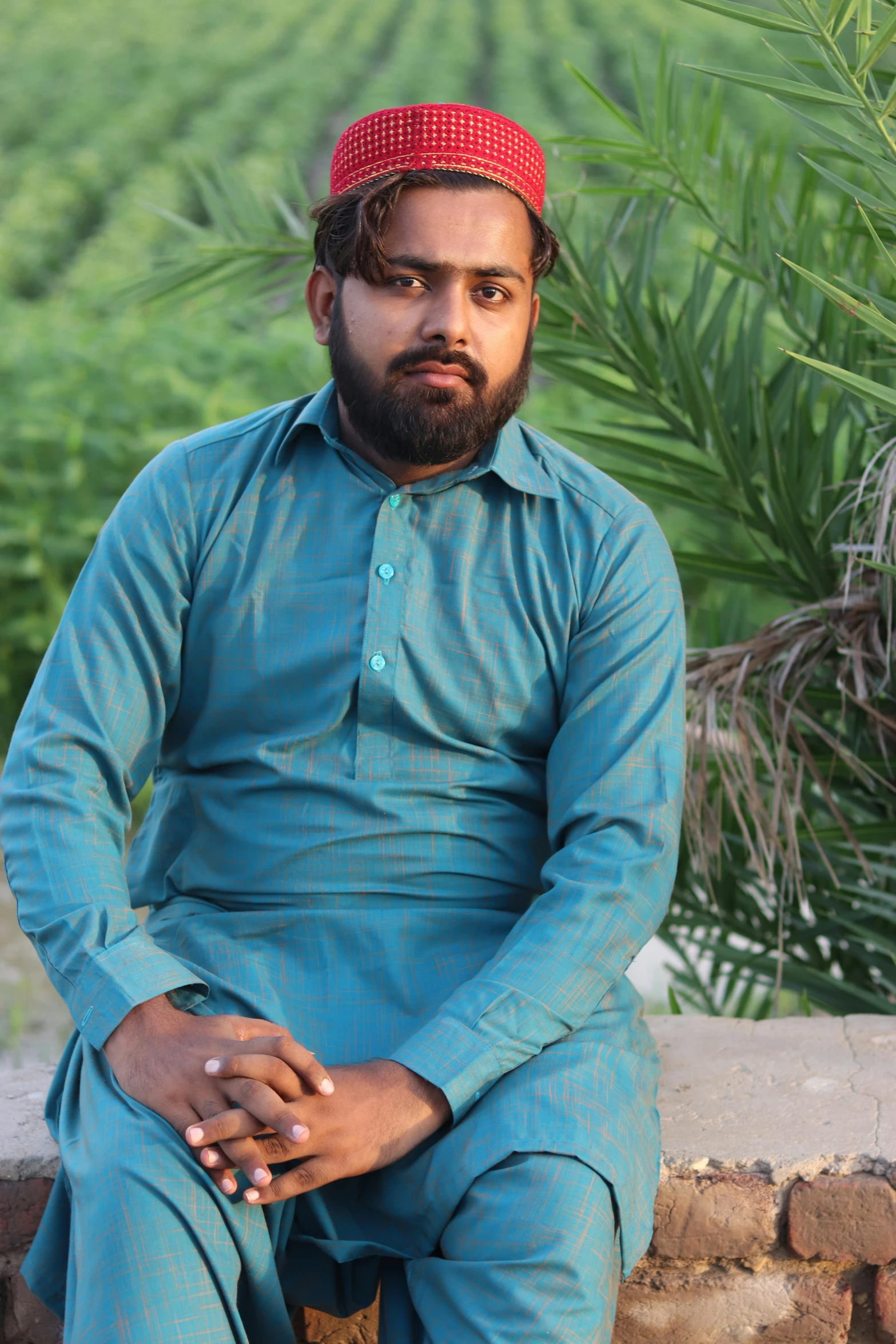 man with long beard and a blue shirt sitting on a ledge next to plants