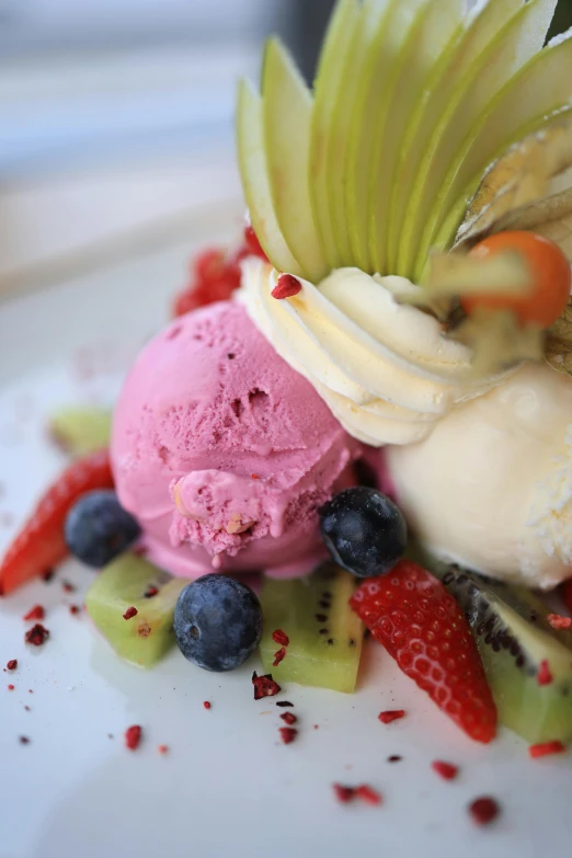 a small plate has assorted colorful desserts on it