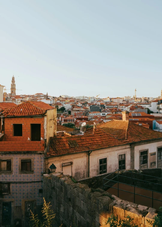 some buildings are shown with roofs made of clay