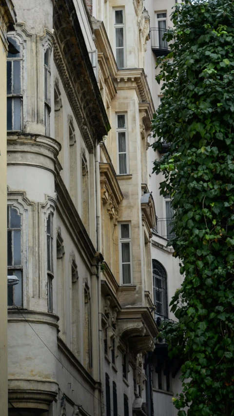 two black and white birds are sitting outside of some houses