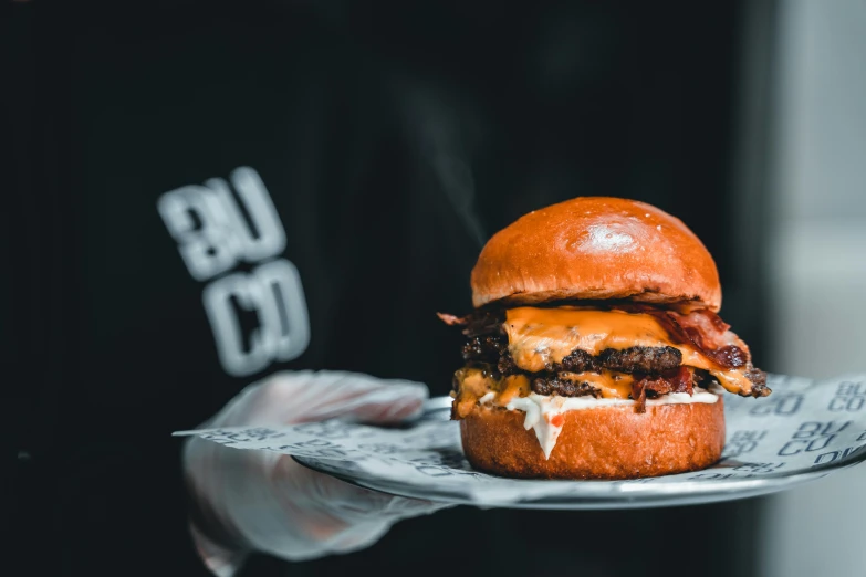 someone holds up a giant hamburger for the camera