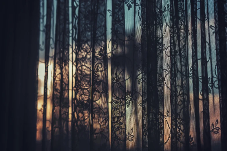 a picture of a setting sun through tall bamboos