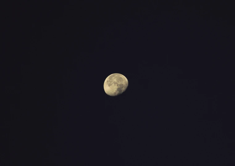 a full moon shines through the dark sky
