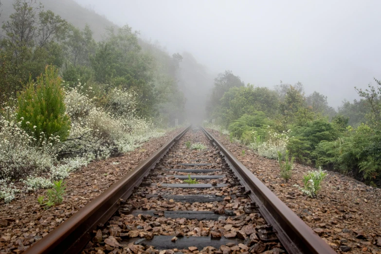 an old railroad track is seen in the fog