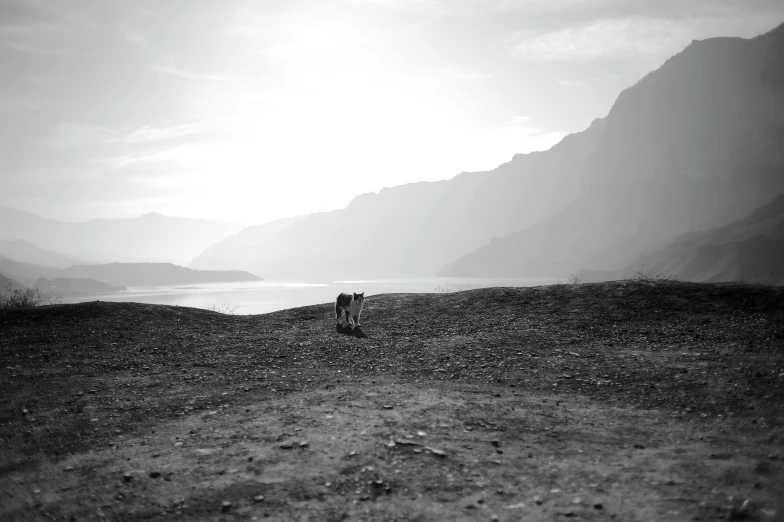 black and white pograph of a field near mountains