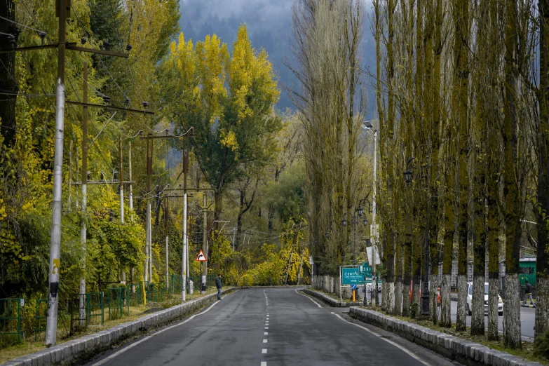 an empty road surrounded by lots of green trees