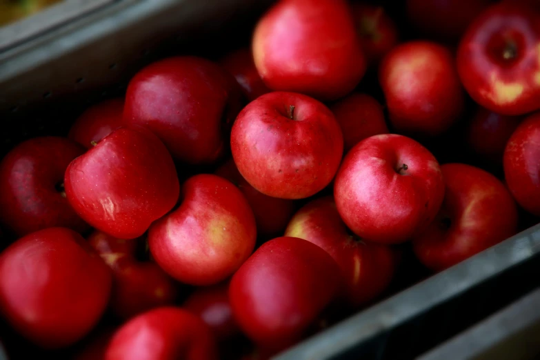 there are apples that are in a metal container