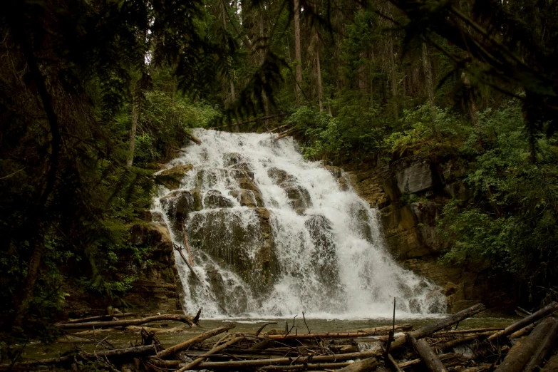 the wooden fence near a waterfall has many trees and rocks