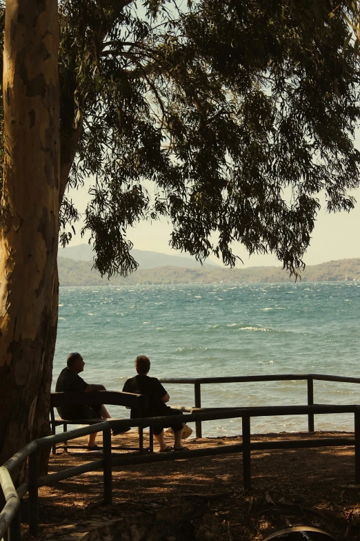 people sitting on a park bench overlooking the water