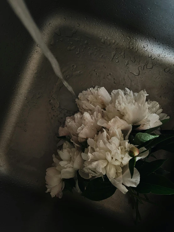 large white flower sitting on top of a piece of cloth