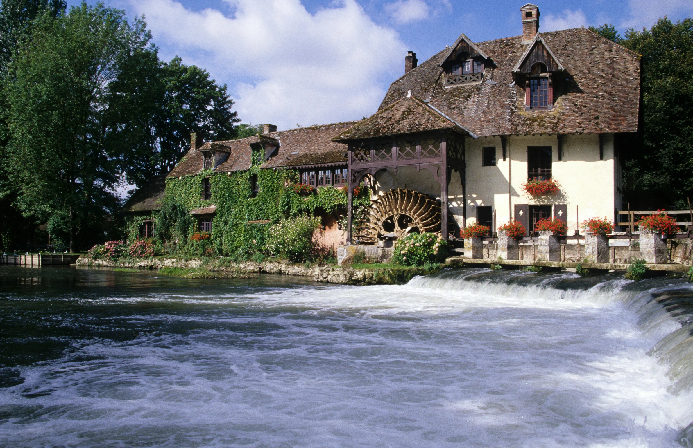 a house in the woods by some water