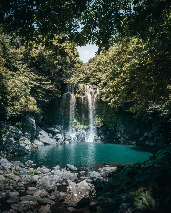 the waterfall is in the center of the jungle